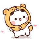 06_bubududuspinorange