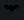 0black-bat