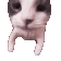 1000046767