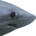 1000048101