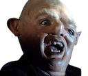 1000049052