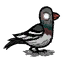1000056065