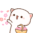 1000089439catq