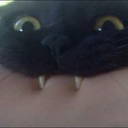 121550
