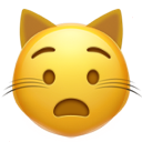 anguished_cat