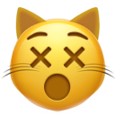 dizzy_cat_face