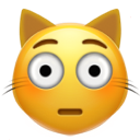 flushed_cat