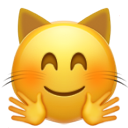 hugging_cat_face