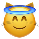 innocent_cat