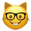 nerd_cat_face