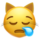 sleepy_cat