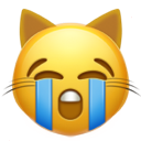 sob_cat