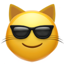 sunglasses_cat