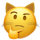 thinking_cat_face