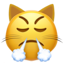 triumph_cat