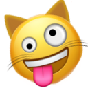 zany_cat_face
