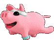 pig-exercise
