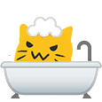 meow_bath