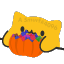 meow_bongo-candy