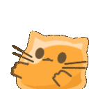 meow_gummyattention