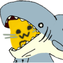 meow_shark