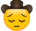 sadcowboy