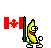 canadianflag-bananadance