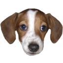frankerz