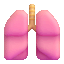 lungs