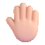 raised-back-of-hand