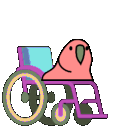 accessible_parrot