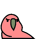 angry_parrot