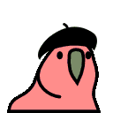 beret_parrot