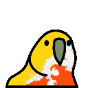 bhutan_parrot