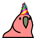 birthday_party_parrot