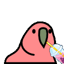 boba_parrot