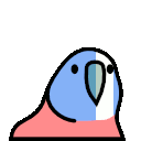 braveheart_parrot
