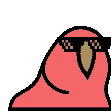 conga_party_parrot
