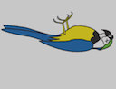 deadparrot