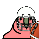 football_parrot