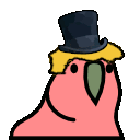 harpo_parrot