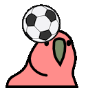 heading_parrot