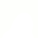 invisible_parrot