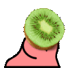 kiwi_parrot