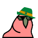 lepreparty-parrot