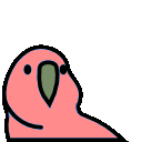 levitation_parrot