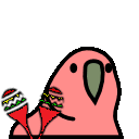 maracas_parrot
