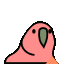 parrot_arrow_up
