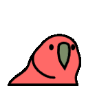 play-catch_parrot_reverse