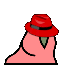 red_hat_parrot